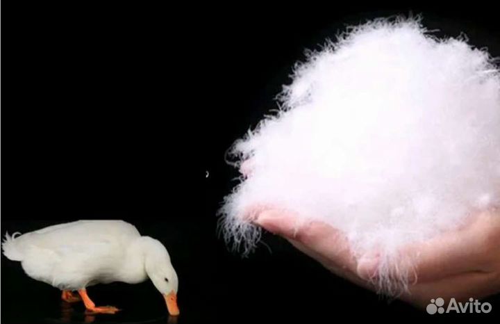 Скупаю пух-перо,перины,подушки,свежий