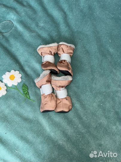 Одежда для маленьких собак