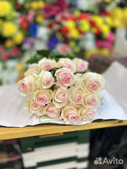 Цветы:Розы на 8 марта