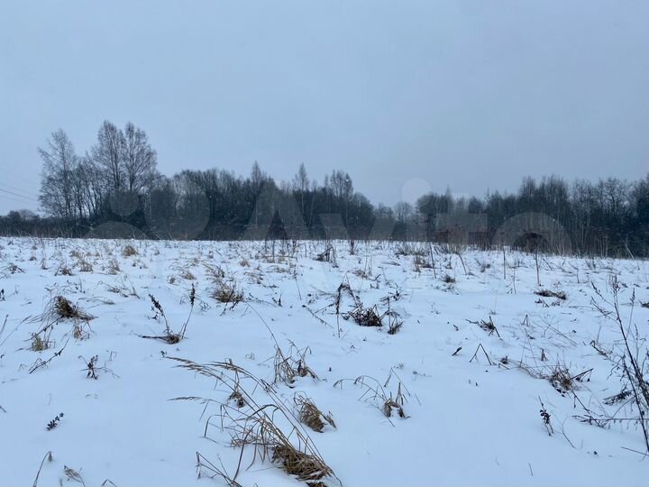 Участок 50 сот. (ИЖС)