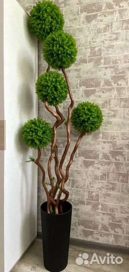 Самшит.Искусственное дерево