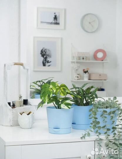 Горшок для цветов с автополивом 1литр цена за 5шт