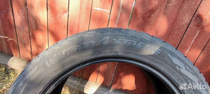 Vredestein Wintrac 4 Xtreme 255/50 R20