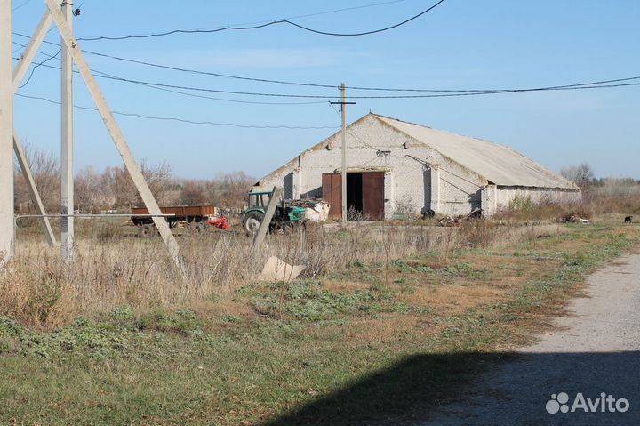 Действующая ферма