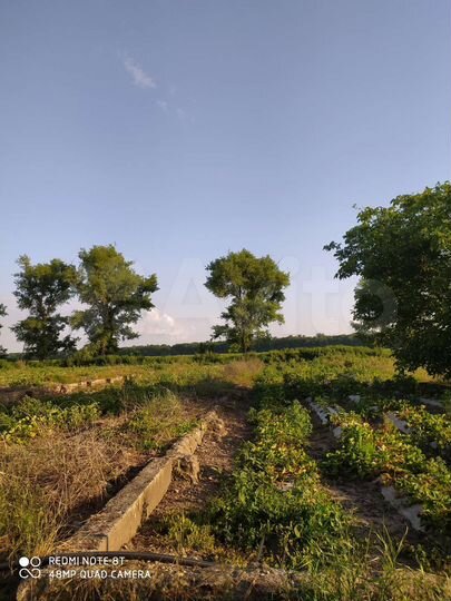 Участок 72 сот. (СНТ, ДНП)