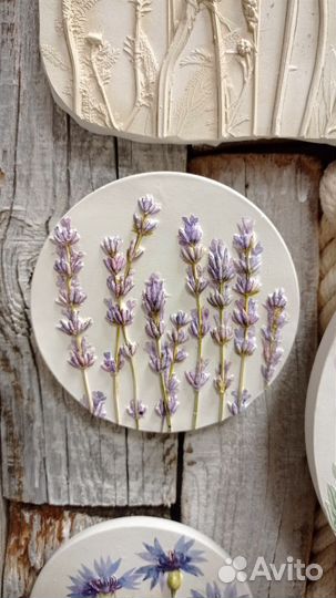 Ботанический барельеф