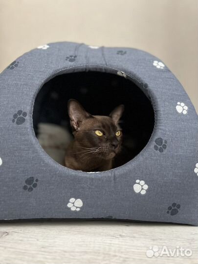 Домик лежанка для кошки