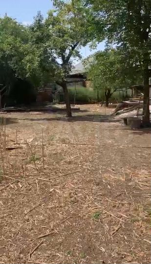 Дом 53 м² на участке 24 сот.