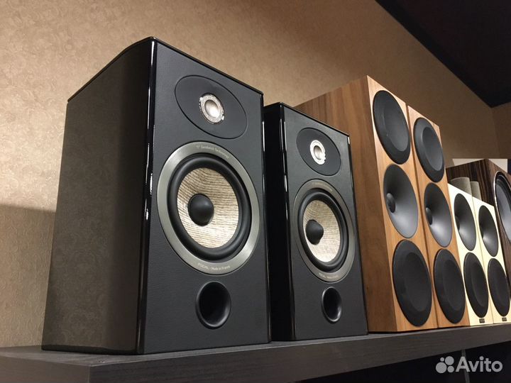 Focal 905 sales