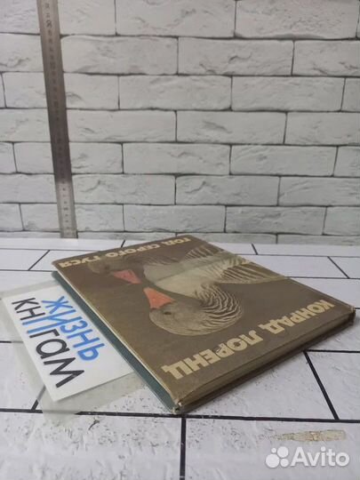 Лоренц К. Год серого гуся. 1984 г