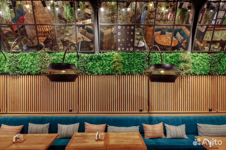 Вертикальное озеленение. Фитостена