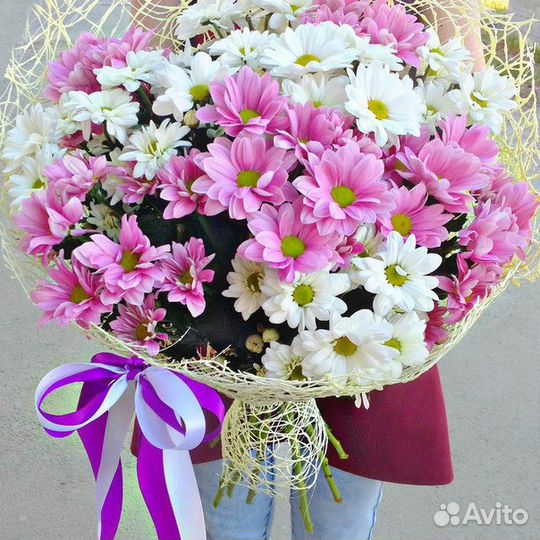 Кустовые хризантемы