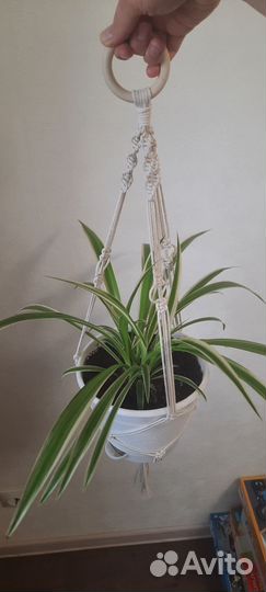 Кашпо для цветов подвесное макраме