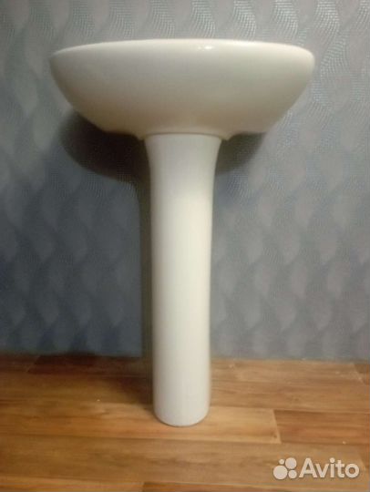 Раковина тюльпан