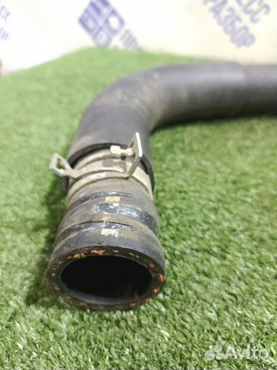 Патрубок системы охлаждения Toyota Corolla