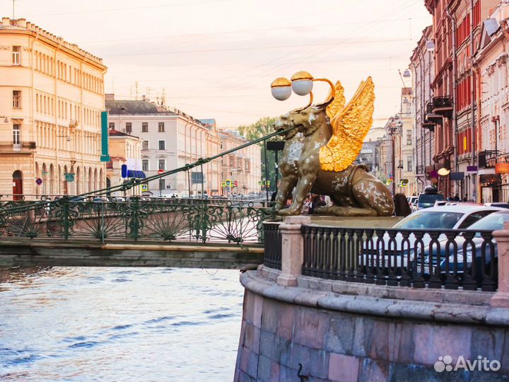 Тур по Санкт-Петербургу для школьных групп