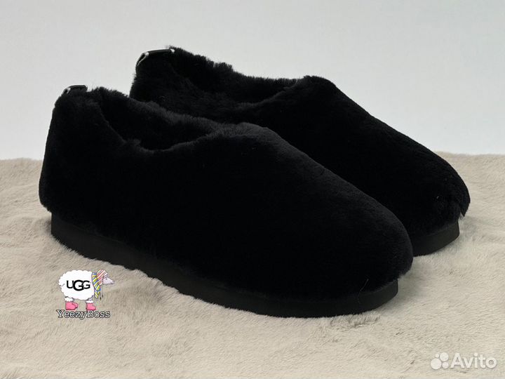 Угг угги Ugg Hailey Fluff Slippers Black