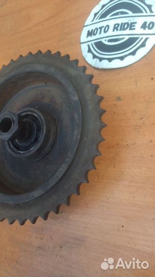 Задняя звезда ковровец