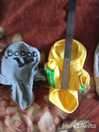 Одежда для собак и кошек