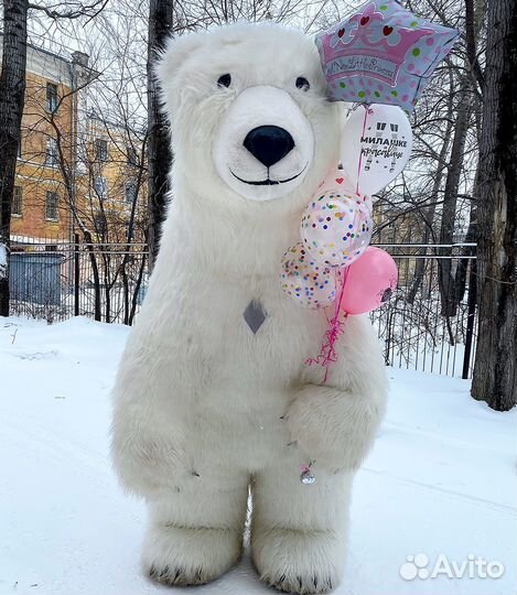 Аниматоры, Белый мишка