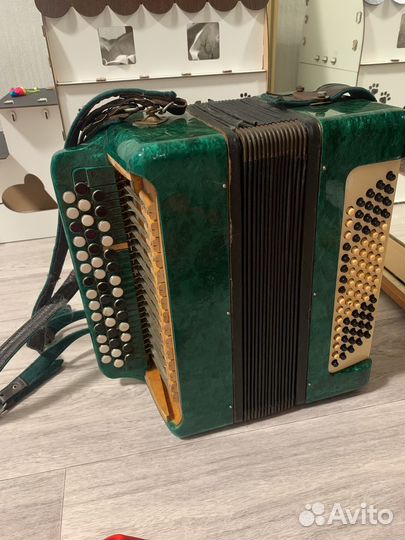 Баян 1960 год