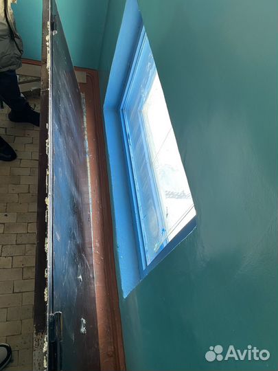 Даноь железная входная