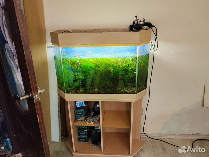 Аквариум с тумбой 390 литров