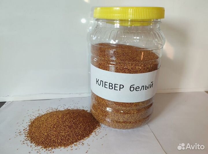 Семена белого клевера