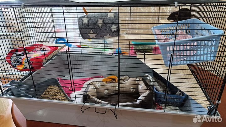 Клетка для грызунов