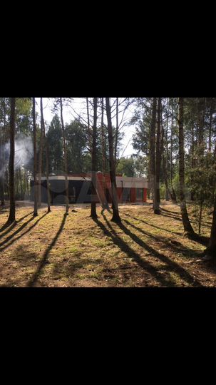 Дом 175 м² на участке 60 сот.