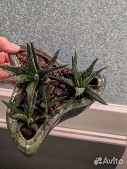 Цветочная композиция