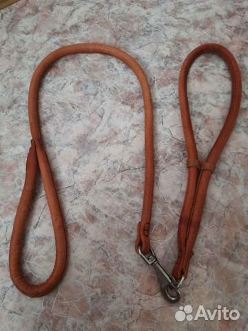 Ринговка для собак