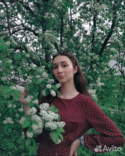 Репетитор по математике и русскому языку