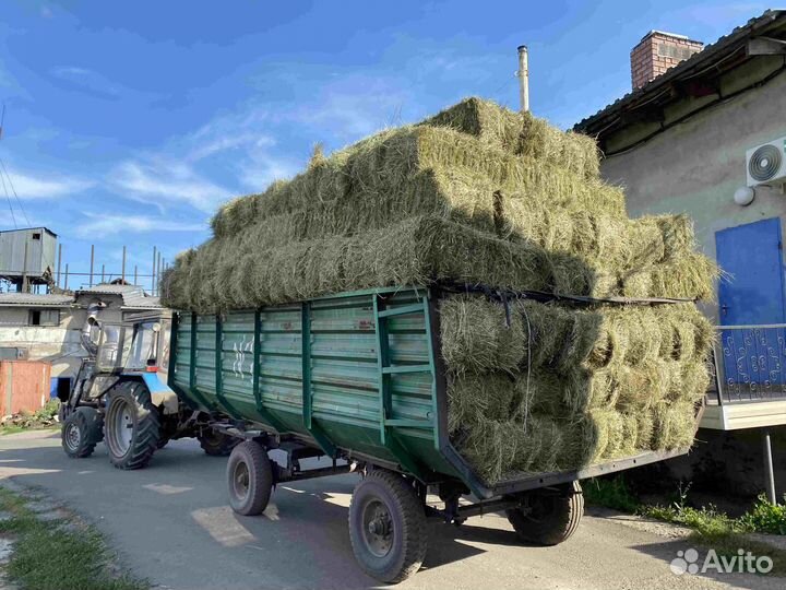 Сено луговое в тюках бесплатная доставка