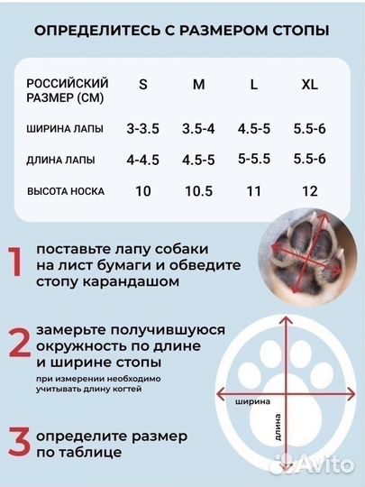 Одежда для собак