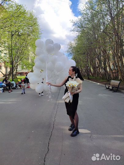 Букет из 35 ромашек + 60 воздушных шаров