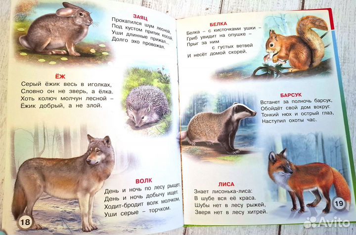 Родная природа Учебник дошкольника Степанов