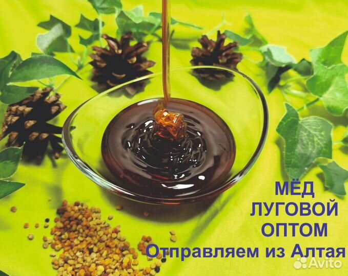 Алтайский мёд (оптом)