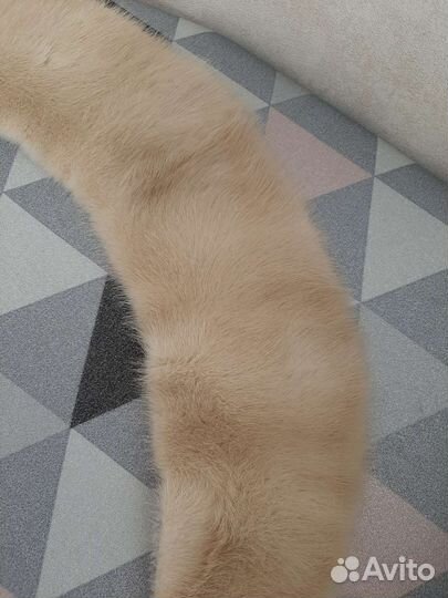 Норковые шкурка и воротник новые