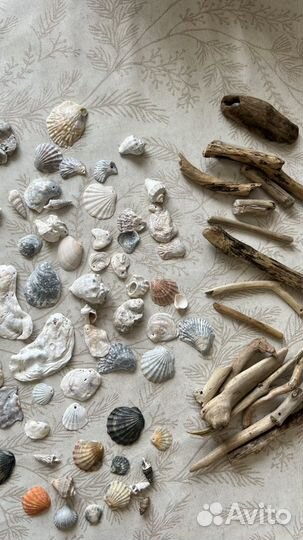 Набор для творчества морской