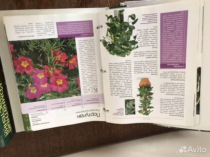 Каталоги комнатные и садовые растения
