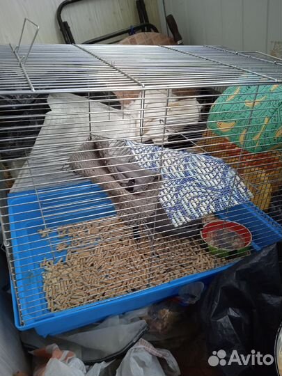 Клетка для домашних животных