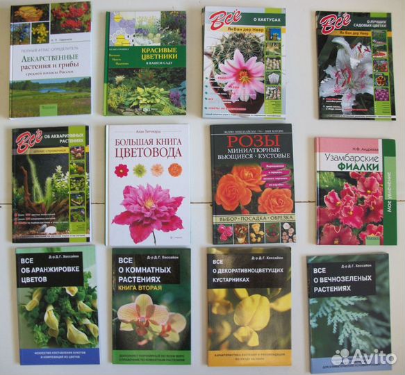 Сад.Огород.Грибы.Индюки.Кролики.Куры.Пчелы.Лошади