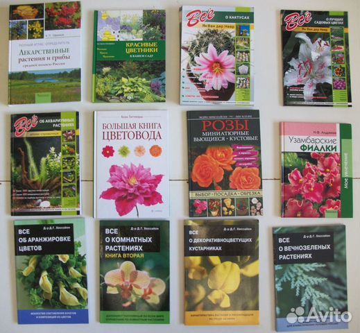 Сад.Огород.Грибы.Индюки.Кролики.Куры.Пчелы.Лошади