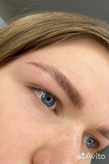 Мастер бровист