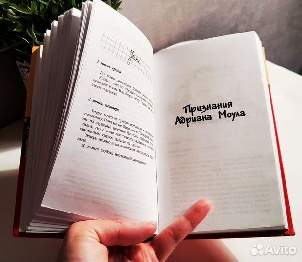 Сью Таунсенд 