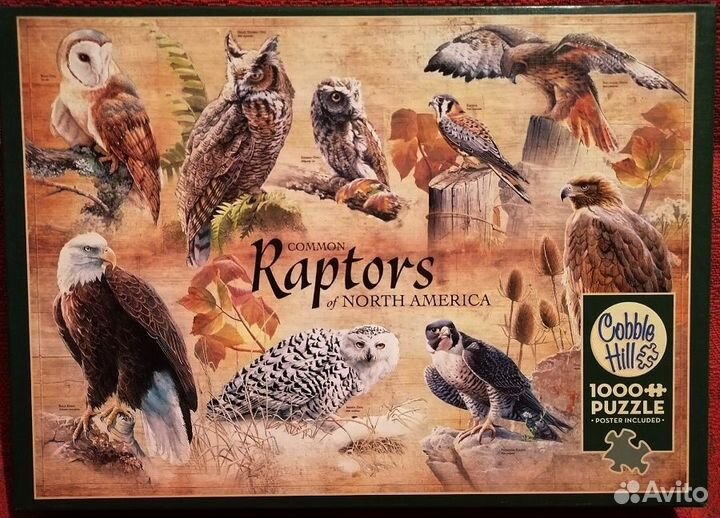 Пазлы 500-1000 деталей,Jumbo,Grafika,Schmidt и др