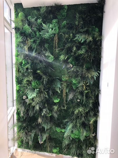 Картины из мха и растений