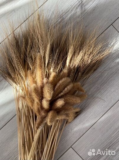 Букет колосьев интерьерный