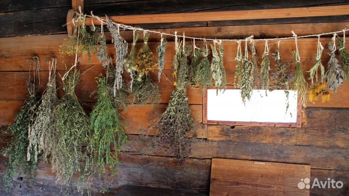 Антигрибковый препарат на травной основе